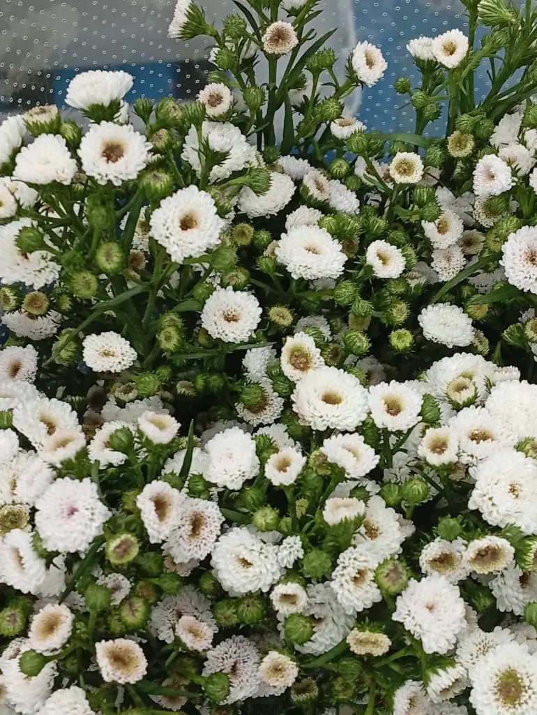 WhatsApp Image 2025-12-14 at 23.15.43 (1).webp