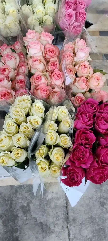 Bucket Deal 3-60 stems (Mix Roses) 