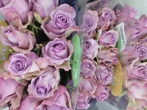 Rose -Samantha Bridal (40)