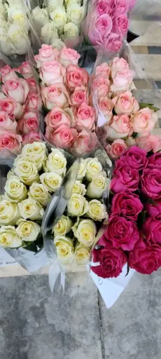 Bucket Deal 3-50 stems (Mix Roses) 