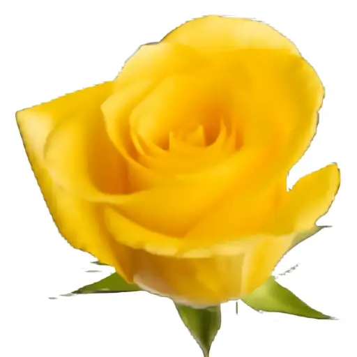 Val-Rose -Momentum (60) EC