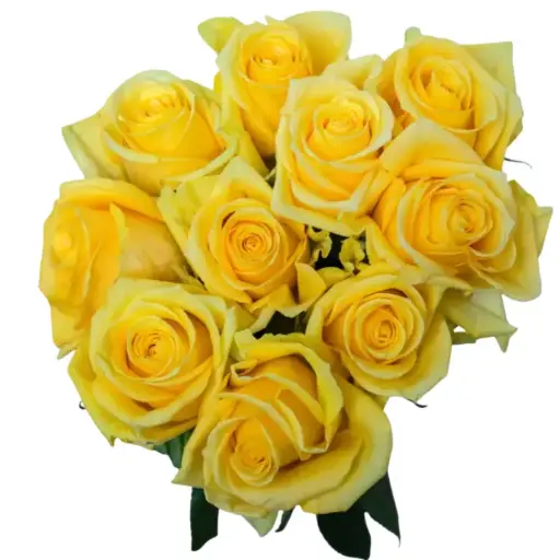 Rose - Yelloween(50)