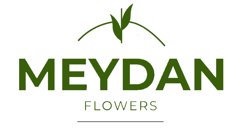 Meydan Flowers