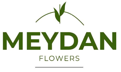 meydanflowers.com