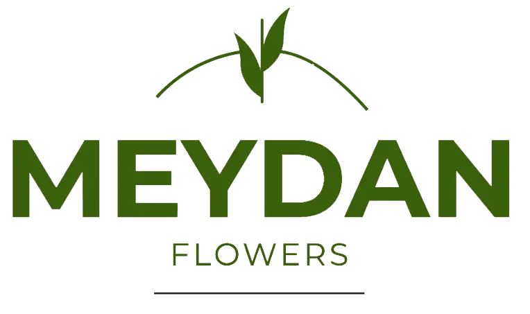 meydanflowers.com